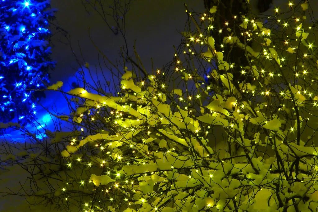 Deluxe christmas lights. Deluxe christmas lights. Deluxe christmas lights. Bright lights on christmas tree картинка. Гирлянда на елку.