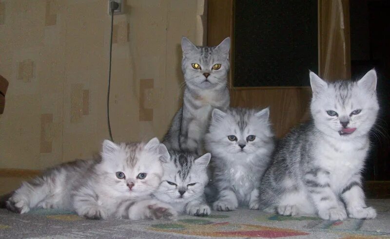 Картина в стиле бригада. Ух работаем до двух. Веселые строители. Логотип бригада ух. Команда ух.