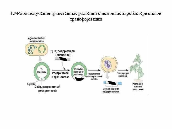 Методика трансформации