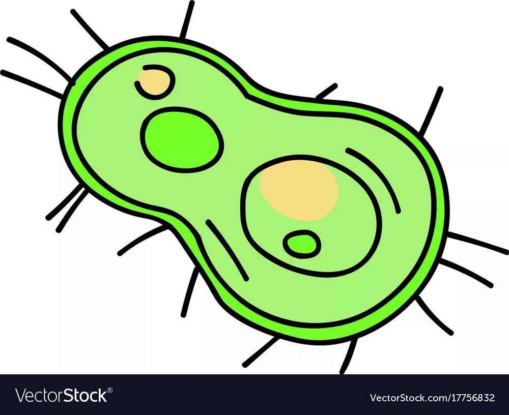 Бактерия 1 играть. Микроорганизмы рисовка. Бактерии рисунок. Бактерии карандашом. С рисовка бактерий.
