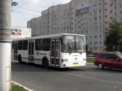 Автобус 71 спб