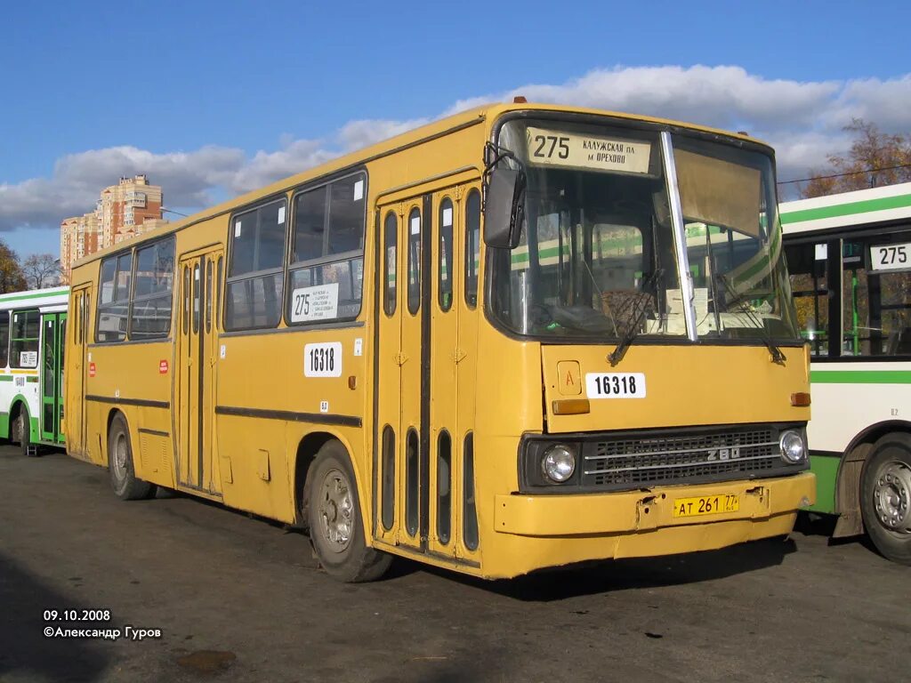 Икарус 260 (280). Икарус 260 (280). Москва 260. Икарус 260. Ikarus 260.