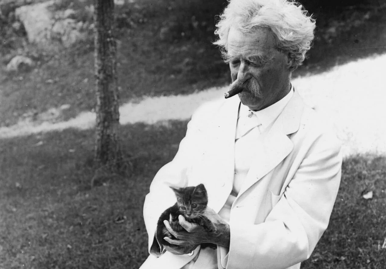 Писатели кошатники. Твен кот. Твен кот. Твен кот. Твен кот.