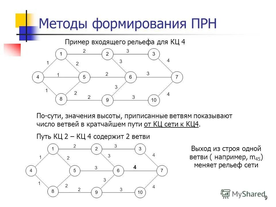 Ветвях какое число