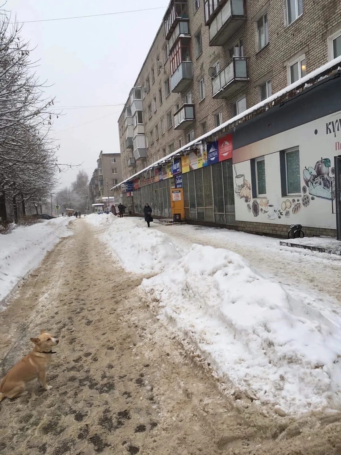 Череповец северный фанера. Фанера череповец. череповец фото фанера.