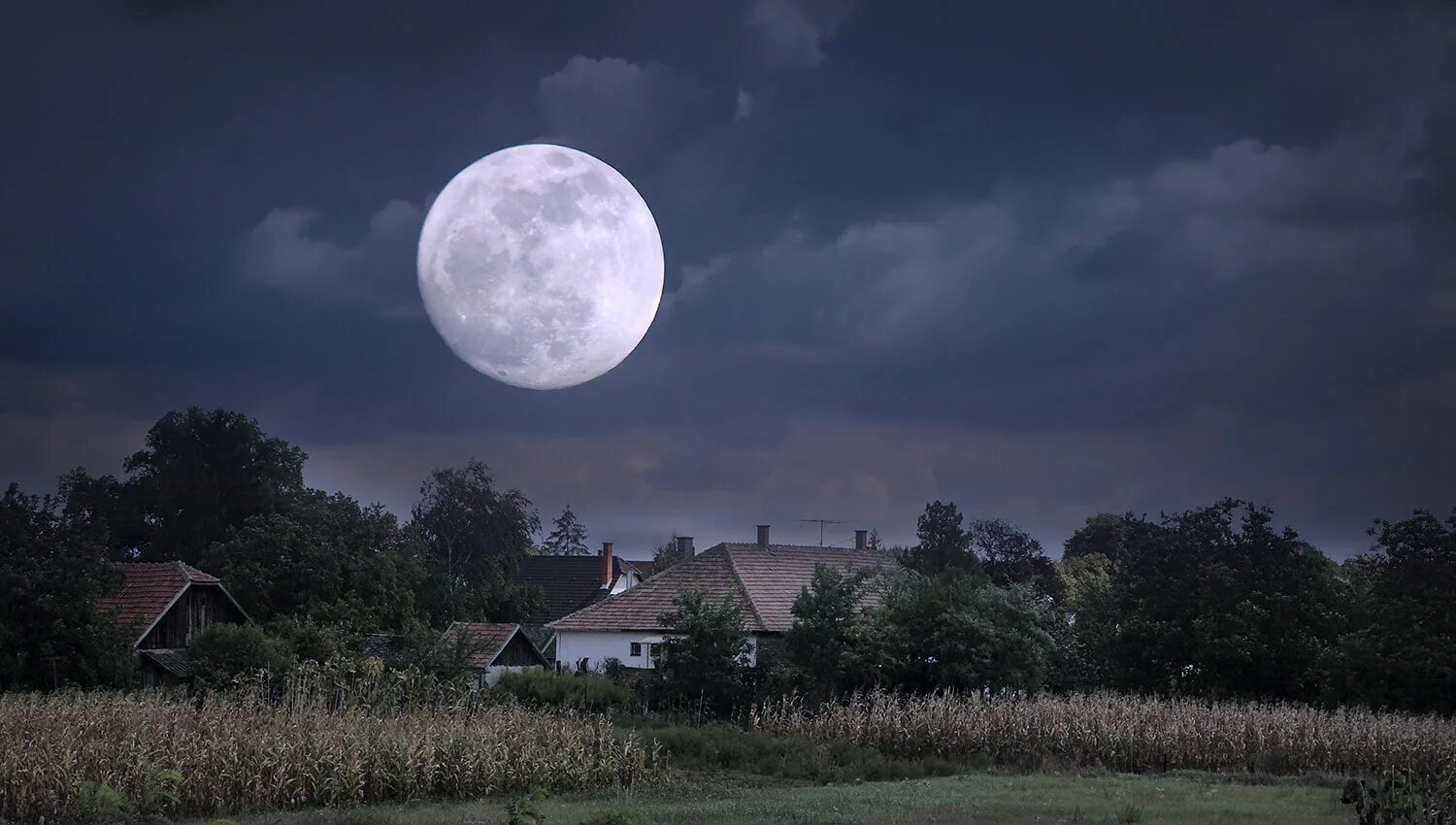 Свет бледной луны. Луна. Полнолуние. Луна над деревней. Лунная ночь.