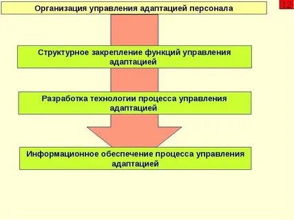 Адаптация системы управления персоналом