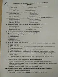 Тэст па беларускай мове 11