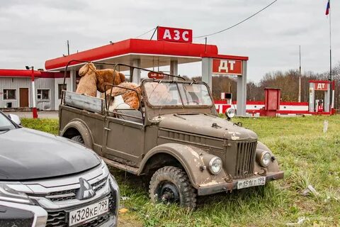 69 с консервации