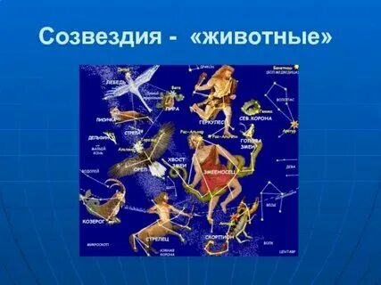 Всего насчитывается созвездий. Всего насчитывается созвездий