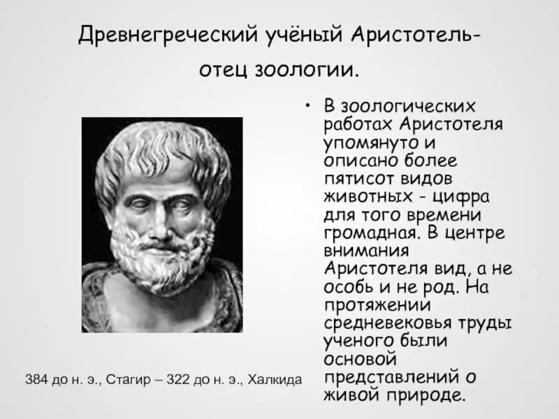 Более пятисот