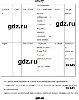 Биология 5 класс страница 28 номер 3