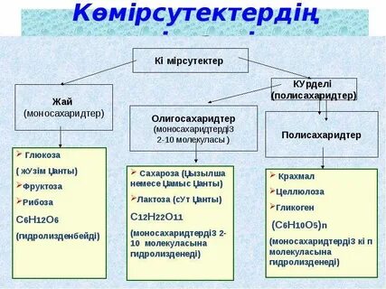 Полисахаридтер