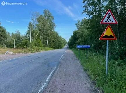 Форест коттеджный поселок спб