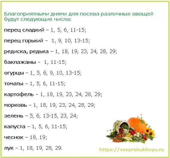 Благоприятные дни для посолеи капусты. Благоприятные дни для посадки капусты. Благоприятный день пересадки капусты. Благоприятные дни для посадки капусты в мае. Благоприятные дни квашения капусты в апреле