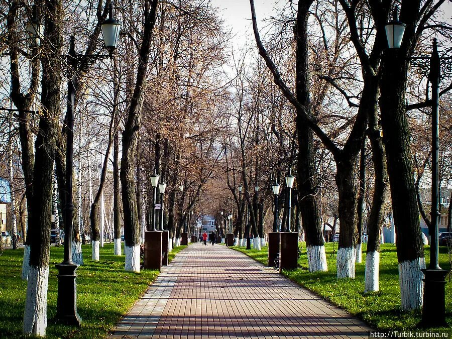 Погода аллеи