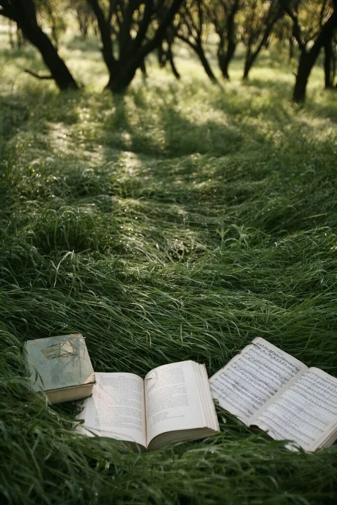 Reading replace