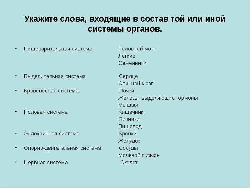 Органы животных 6 класс. Системы органов животных 6 класс. Укажите слова входящие в состав той или иной системы органов. Органы и системы органов животных 6 класс. Биология 6 класс органы и системы органов животных.