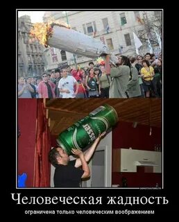 Людская жадность
