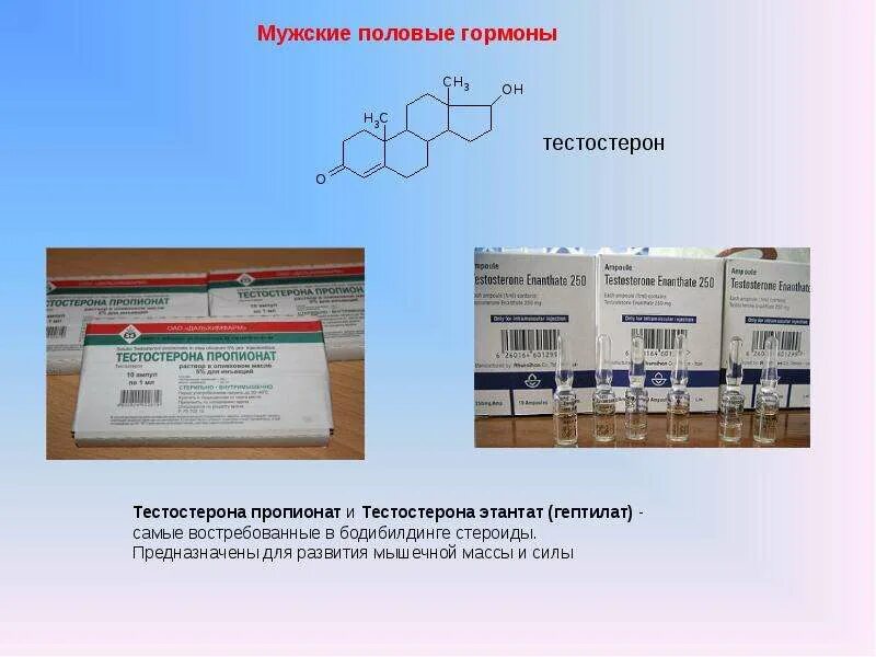 Соматотропин тестостерон. Мужские половые гормоны тестостерон. Мужские половые гормоны лекция. Стероиды биологически активные. Тестостерон биологически активный.