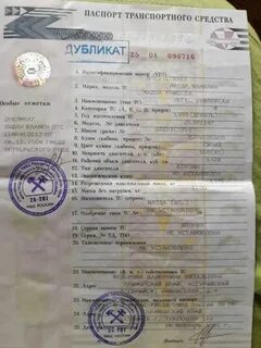Дубликат года