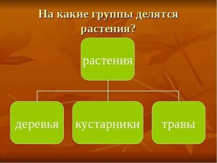 Какие группы