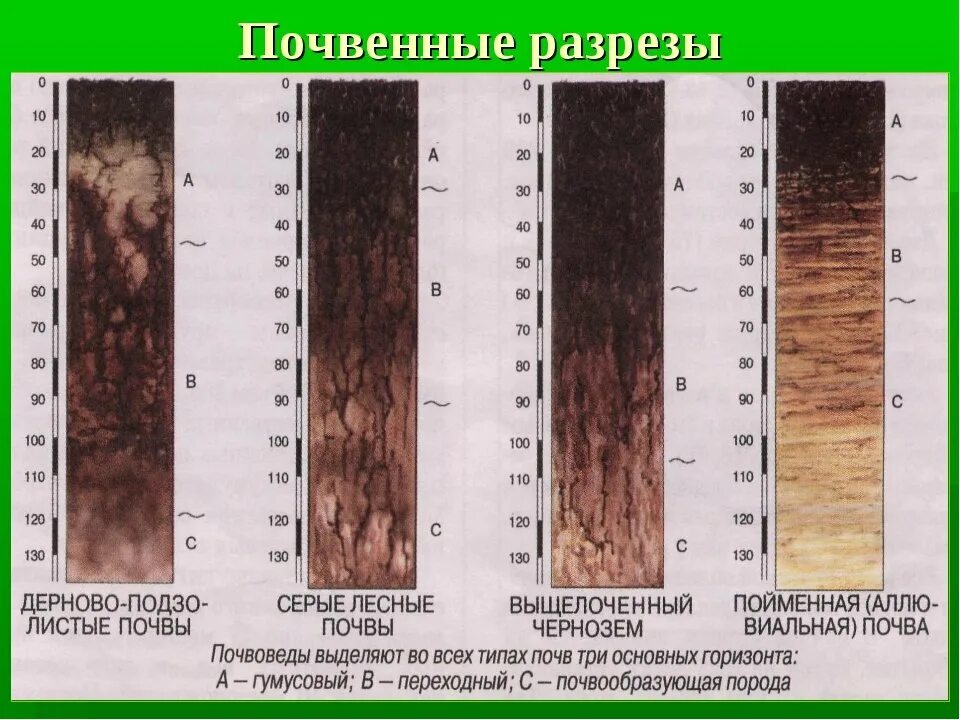 Почва сколько