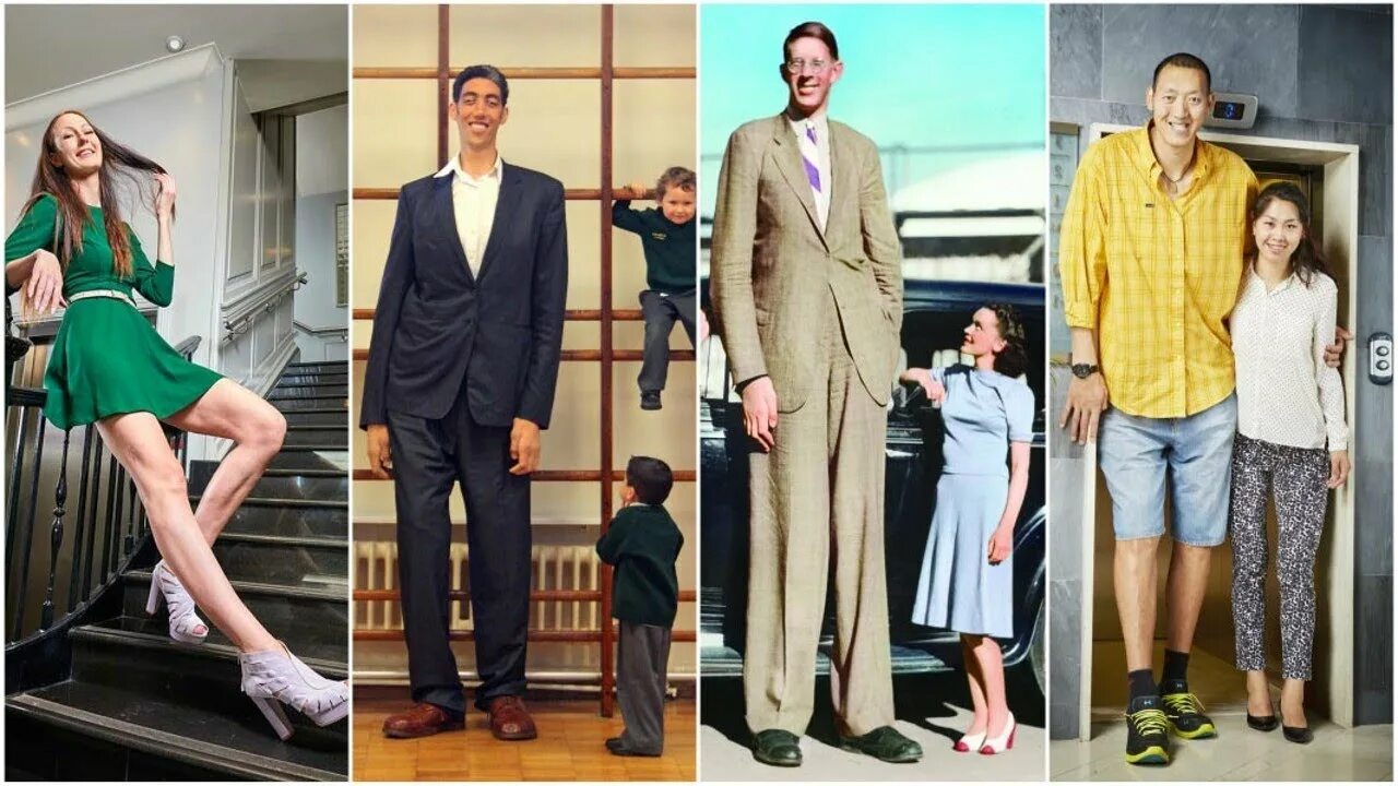 That ever more people. Султан кёсен и Роберт Уодлоу. Рост самого высокого человека 2023. Who is the Tallest man in the World. Самый большой человек в мире Роберт Першинг Уодлоу.