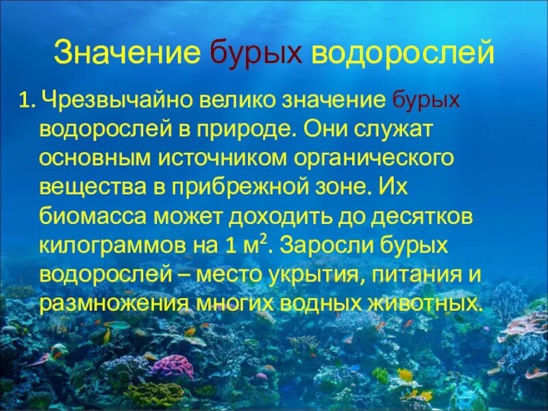 Роль бурых водорослей в жизни человека. Роль бурых водорослей в природе. Значен е бурыз водортськй. Значение бурых водорослей.