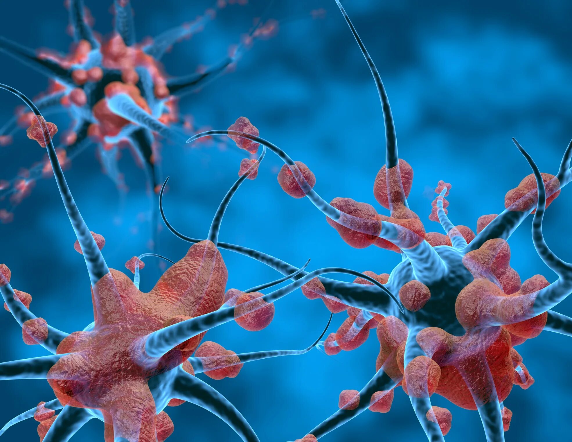 Нейроны. Нейроны головного мозга. Нервные клетки человека. Нейрон красивый. Умершие клетки мозга