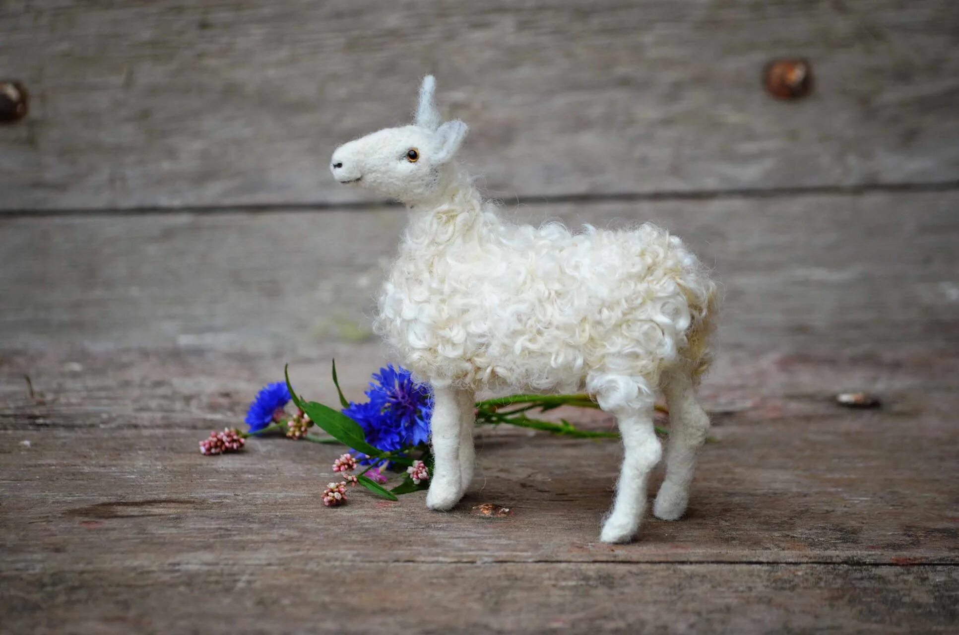 ягненок на руках. овечка на руках. потерянная овечка. потерянная овца картинки. потерянная овечка.