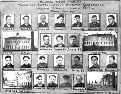 История куда