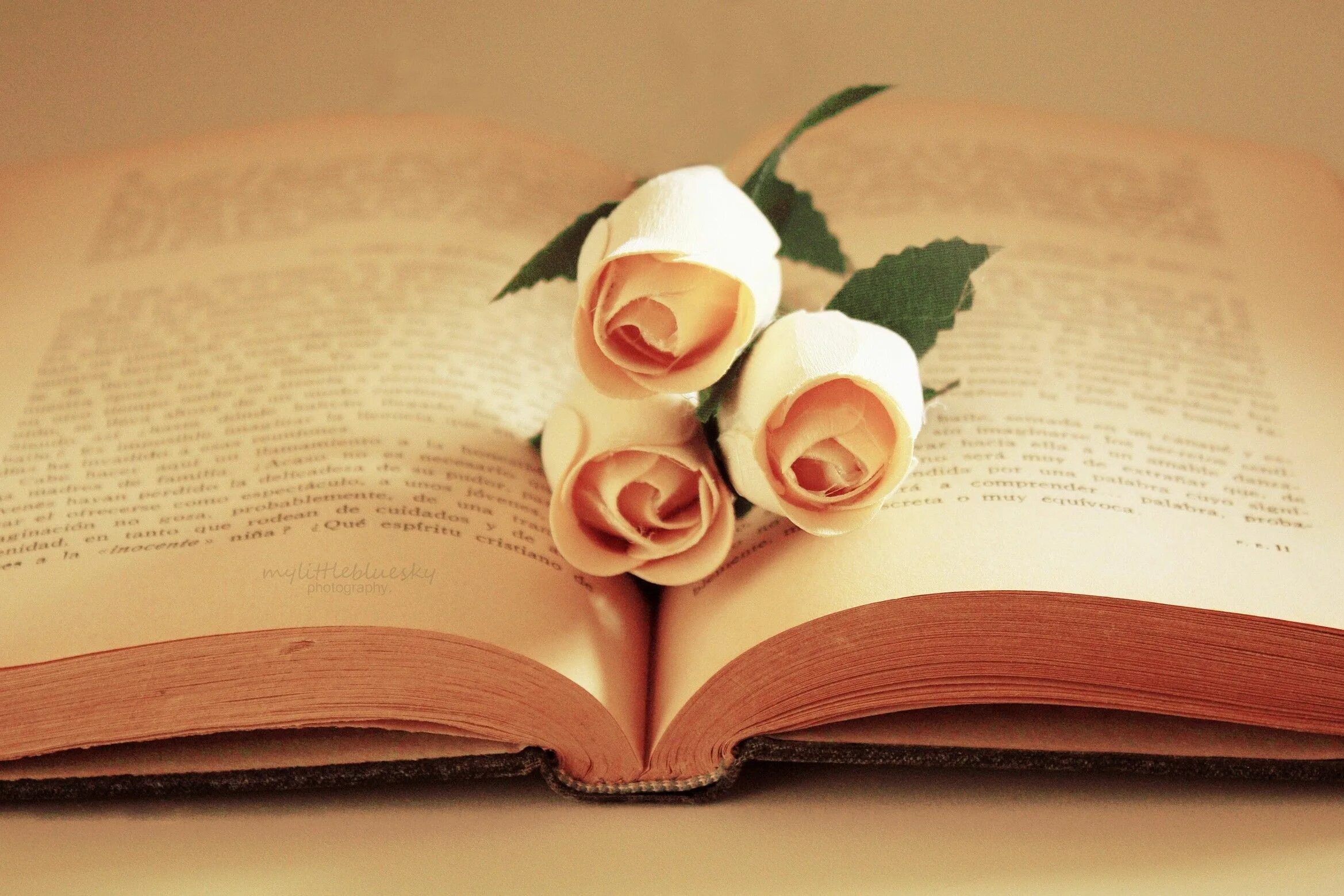 Книга с цветами. Старые книги и цветы. Цветок книжный. Книга это цветок. Книга цветы.