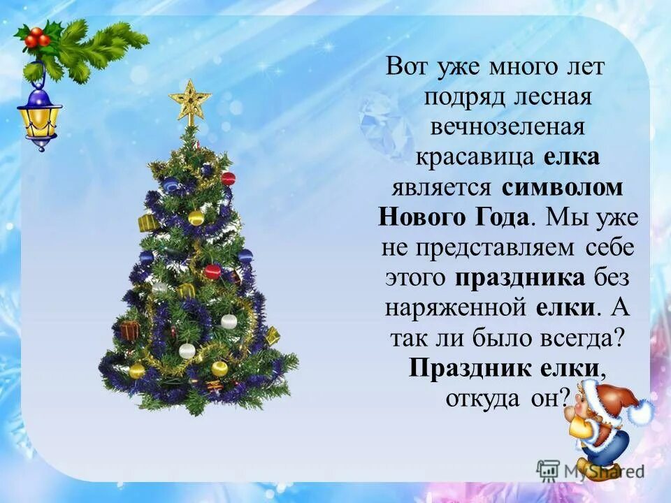 Елка символ нового года. Почему ёлка симбл нового года. Елка символ нового года. Новогодняя елка для презентации. Новогодняя ель главный символ нового года.