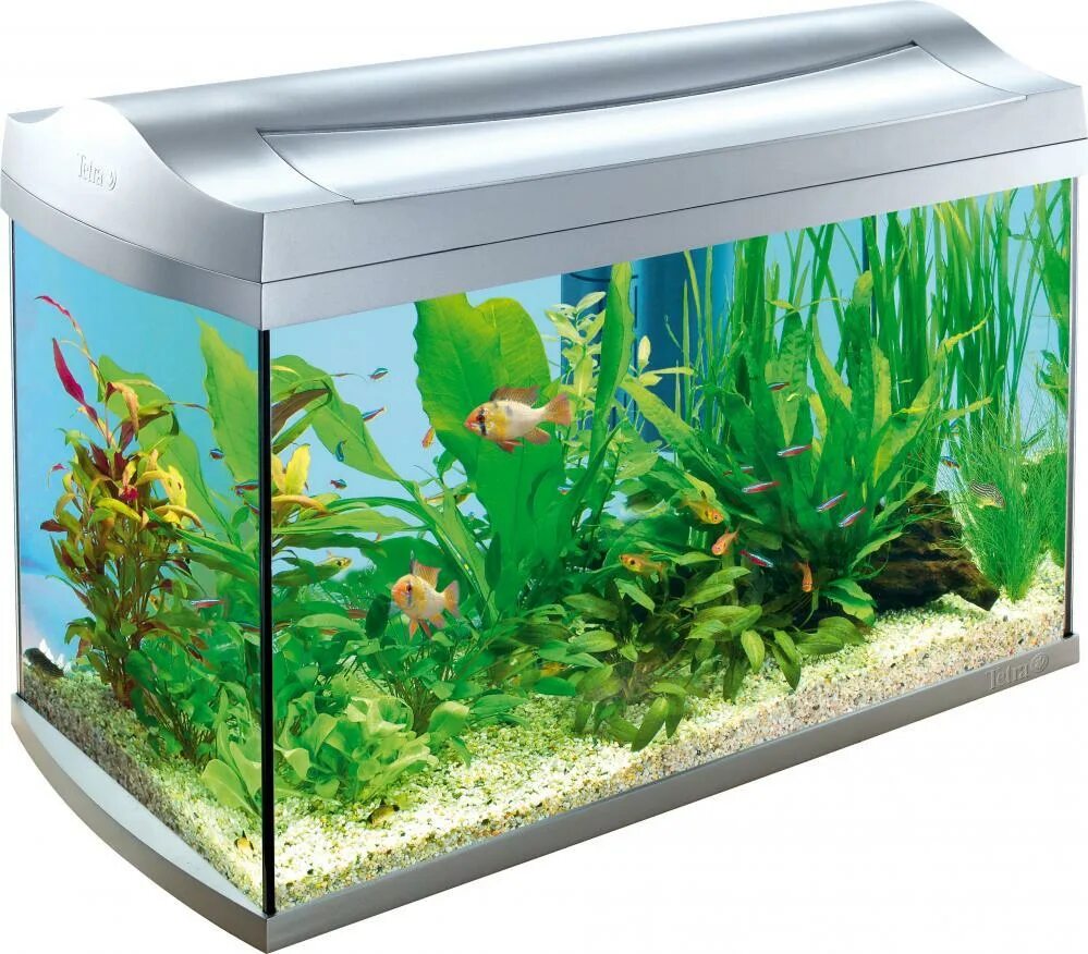 Discover line. Аквариум AQUAART 60л. Tetra AQUAART 60. Аквариум Tetra AQUAART led Tropical 60л белый 61,5х34х43см. Аквариум тетра 60 л.