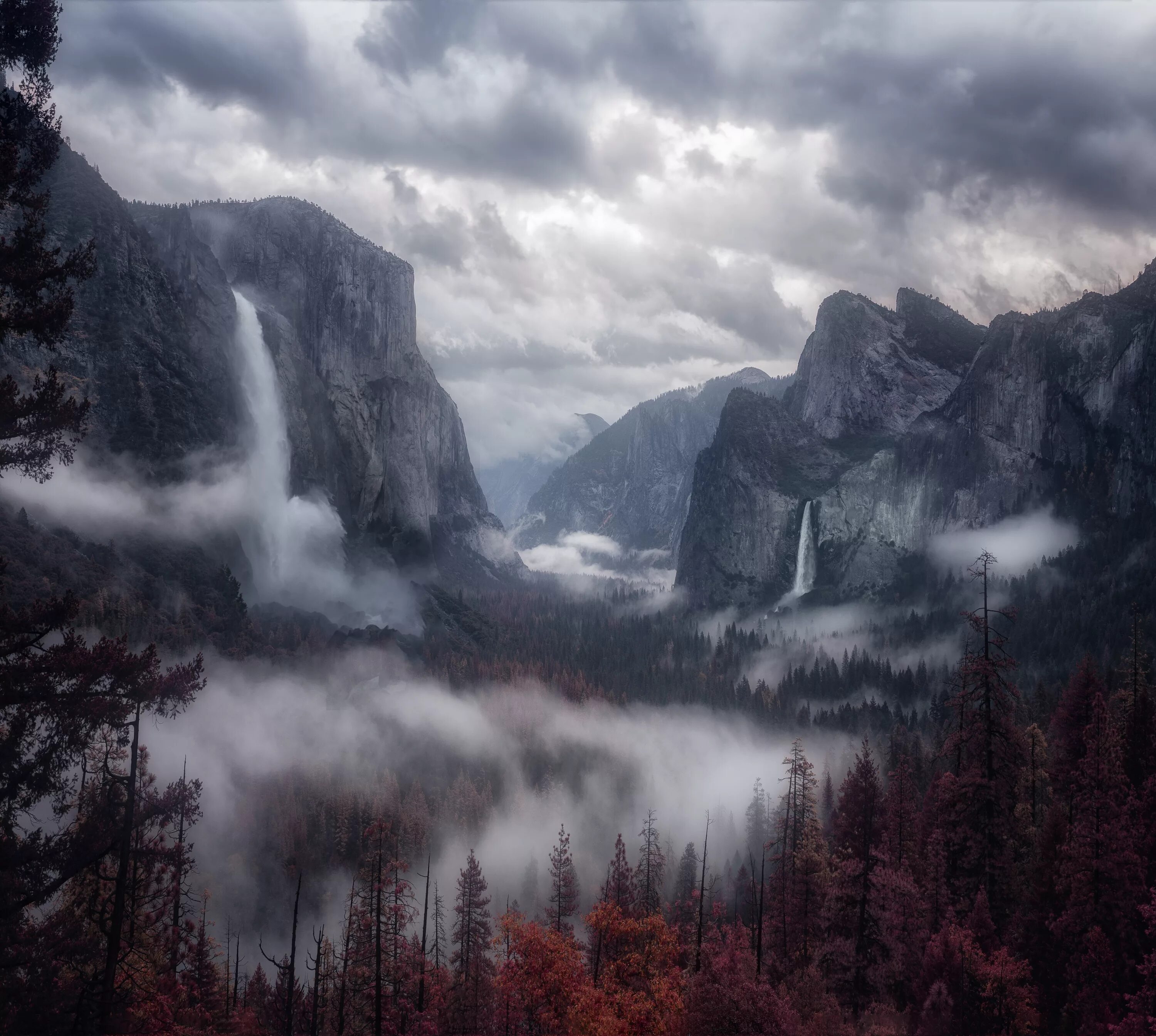 Национальный парк Йосемити в тумане. Туманные горы. Горы в тумане. Мрачный пейзаж. Лес горы слились все