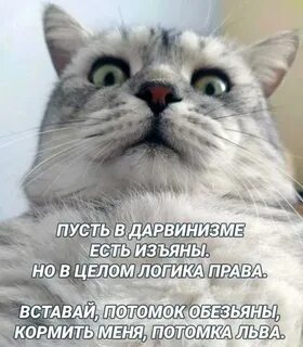 Право встать