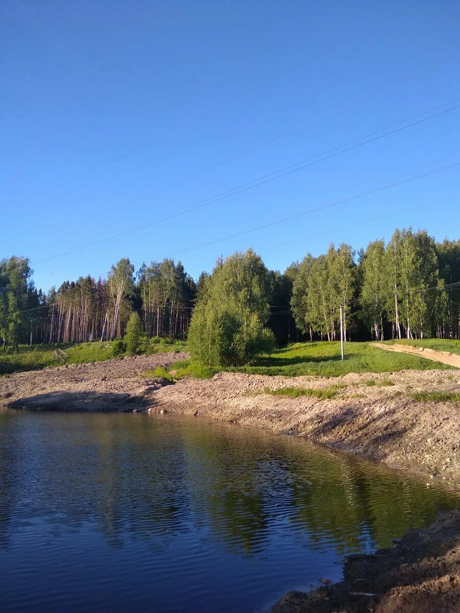 Новости озер московской. Золотово Воскресенский район озеро. Озёра Московской области. Клин озеро. Живописное озеро Подмосковье.