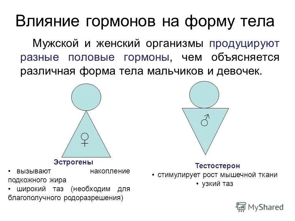 Половое состояние мужчины. Влияние женских гормонов. Женские гормоны влияющие на женские. Влияние половых гормонов. Мужские и женские гормоны.