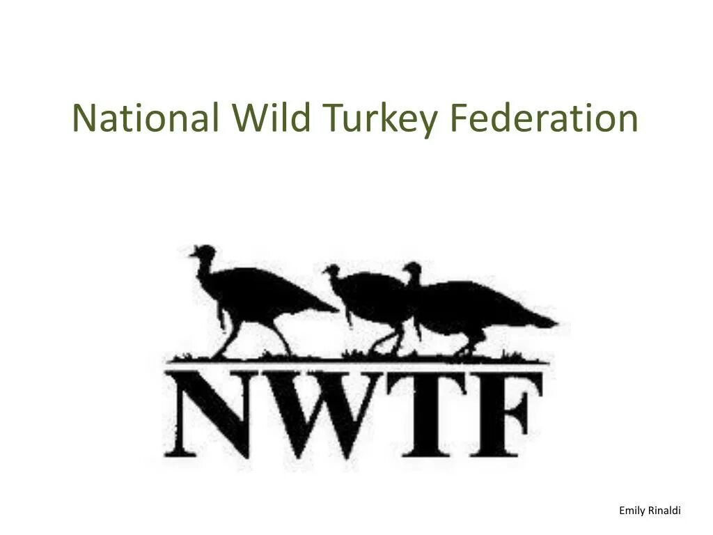 National wildlife. National Wild Turkey Federation. NWTF. National Wildlife Federation. Марки National Wildlife Federation.