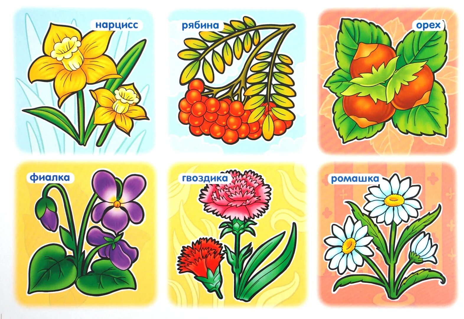 Цветы. Обучающие карточки. Цветы карточки для детей. Карточки с изображением растений для детей. Лото растения. Мир растений игры