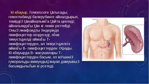 Әйелдер порно арқылы азғырылды
