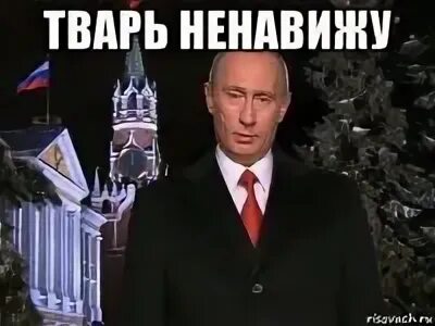 Все твари ненавижу