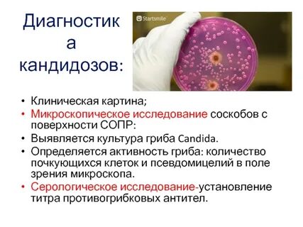 Кандидоз клинические рекомендации