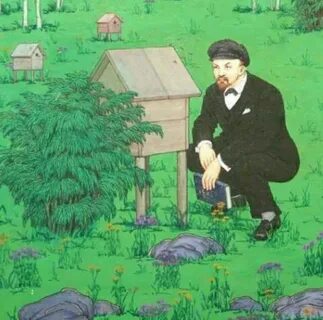 Меда ленина