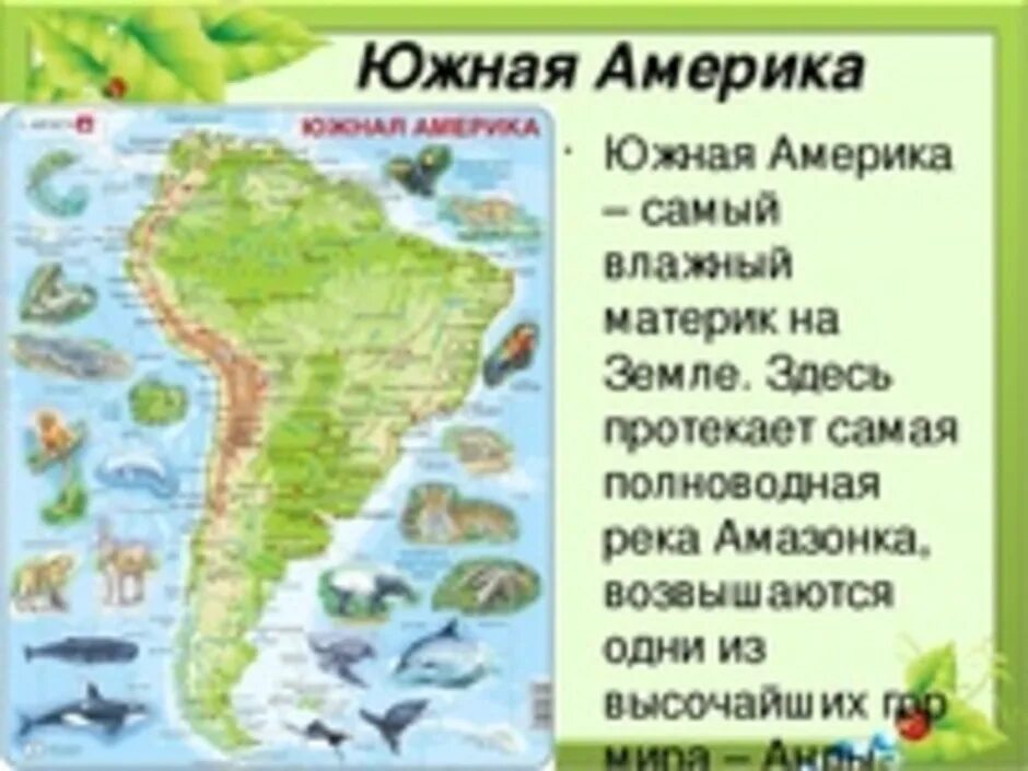 Какую площадь занимает материк южная америка. Южная америка материк. южная америка для детей. описание южной америки. южная америка для дошкольников.