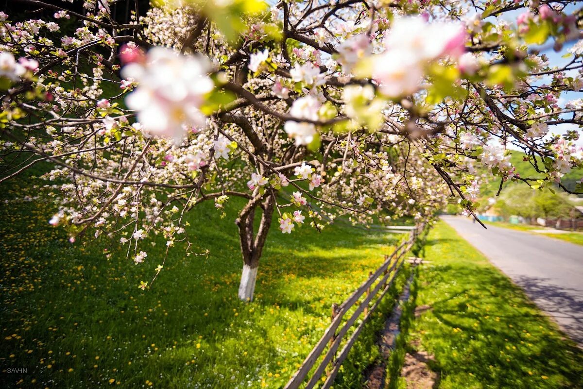 Weather spring