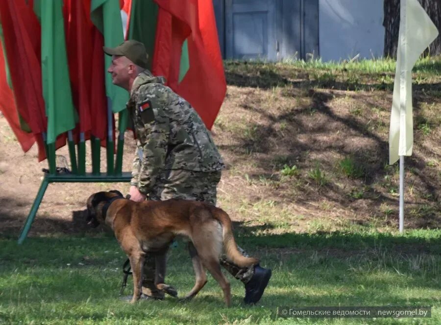 Кинологи беларусь. Военный кинолог. Кинолог узбекистан. Департамент охраны мвд республики беларусь. Кинологи в белоруссии.