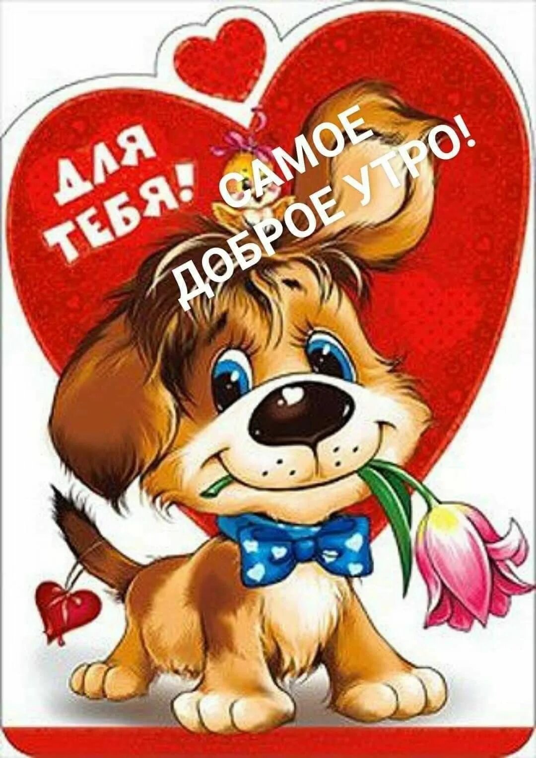Доброе утро валентинка. Валентинка щенок. Валентинка с собачкой. Валентинка подружке. Милые валентинки.