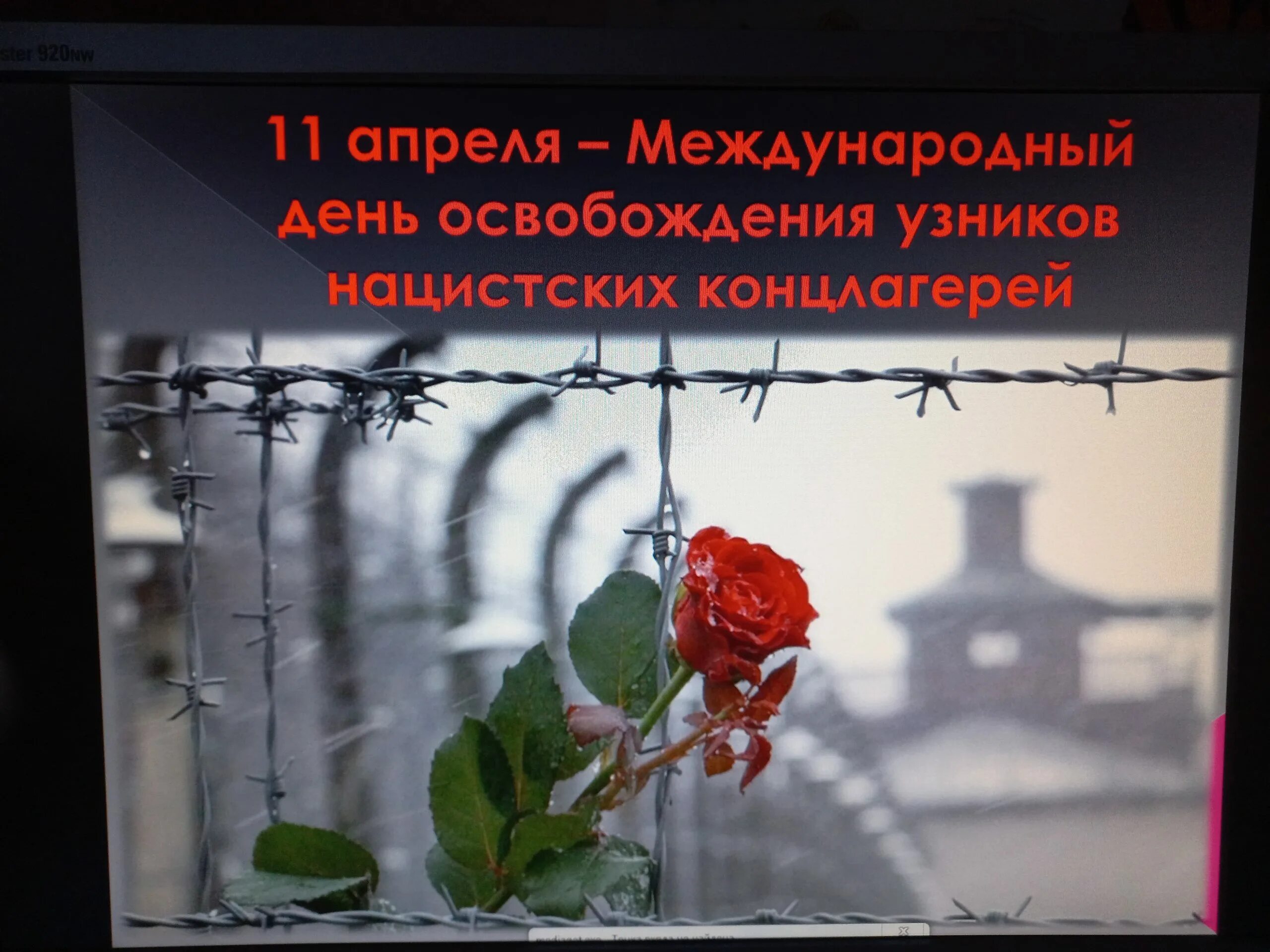 Международный день освобождения узников фашистских лагерей. Освобождение узников фашистских концлагерей. Международный день освобождения узников. День освобождения узников фашистских концлагерей. Освобождение узников концлагерей.